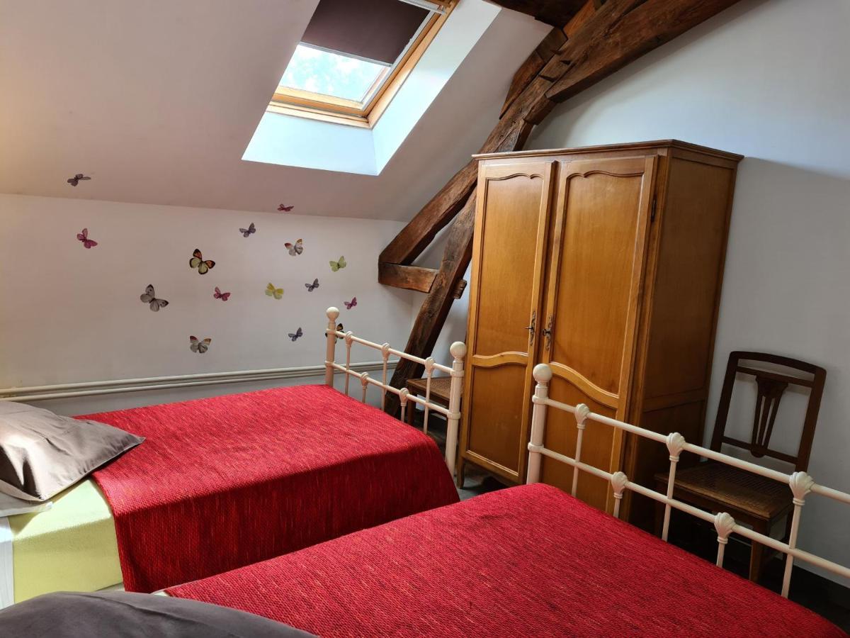 Gite Familial En Ferme Avec Jardin, Proche Foret Et Canal D'Orleans - Label Tourisme Et Handicap - Fr-1-590-7 Chailly-en-Gatinais Экстерьер фото
