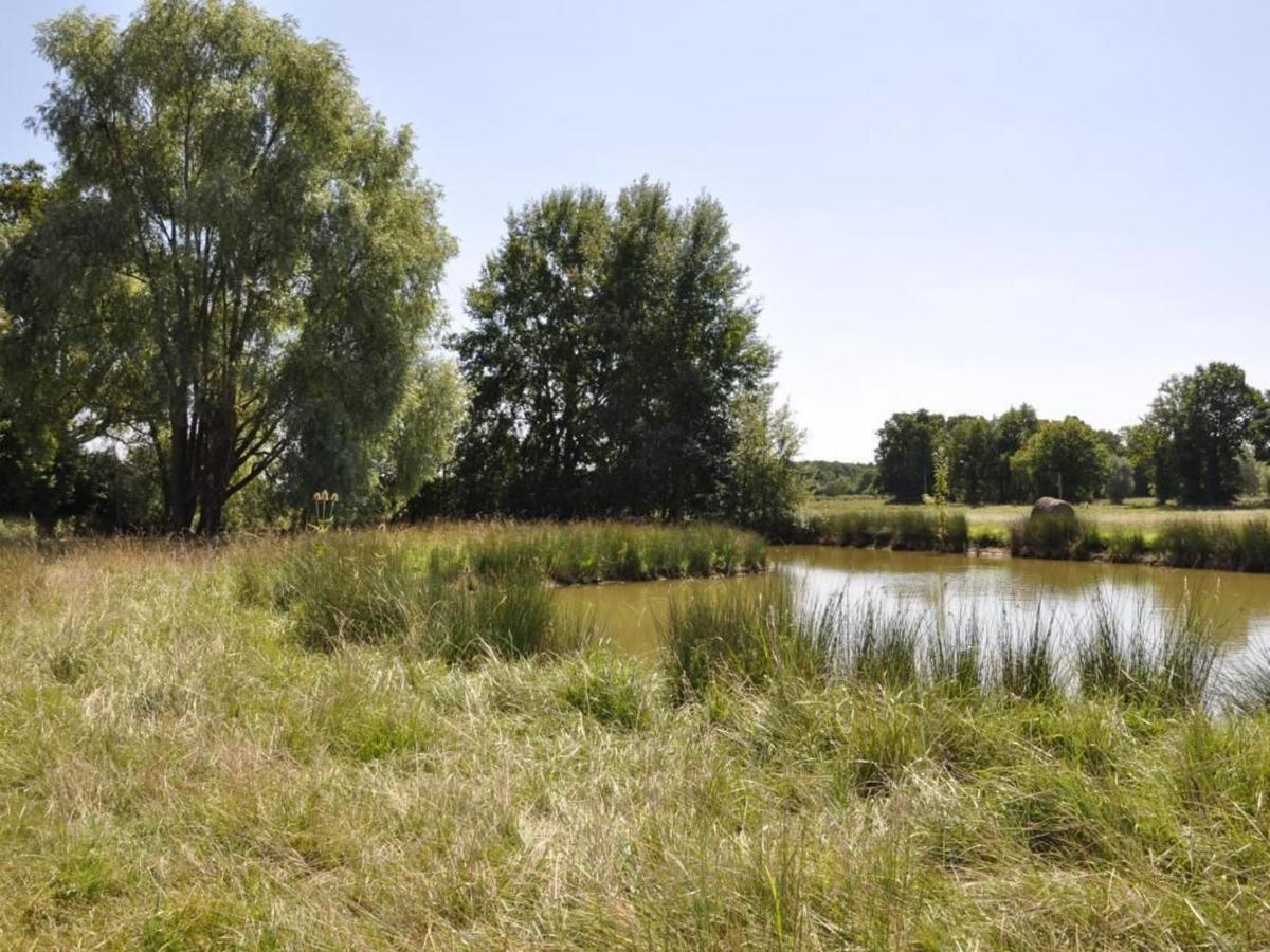 Gite Familial En Ferme Avec Jardin, Proche Foret Et Canal D'Orleans - Label Tourisme Et Handicap - Fr-1-590-7 Chailly-en-Gatinais Экстерьер фото